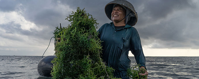 The foods that reverse climate change