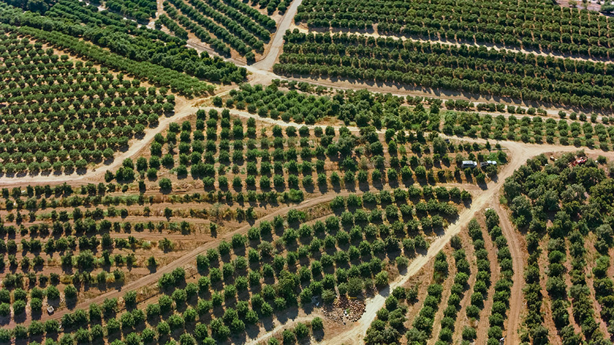 Ariel image of a farm