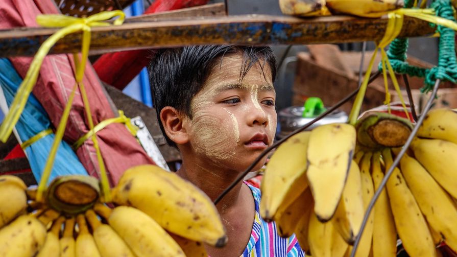 A young boy selling bananas