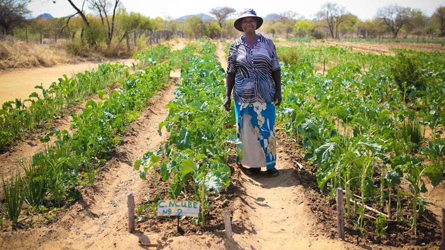 Catherin Ncube standing in between her crops