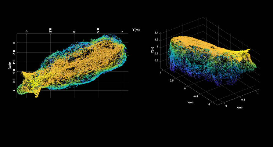 A 3D cow render using thousands of images taken by drones (Credit: Hoagg/Jackson/Sama/Yang)