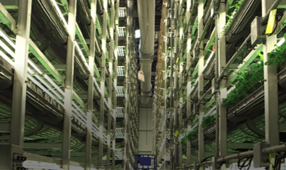 food systems in floors