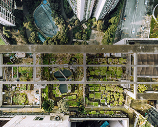 The people building edible cities