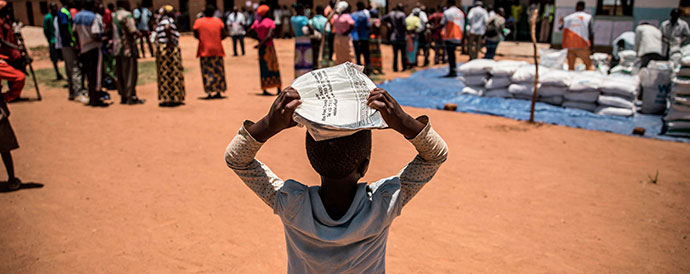 The race to improve food security