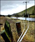 Power lines brought down by strong winds