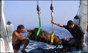 A cannon concretion is carefully lowered into a holding tank 