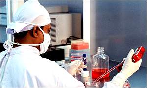 A professor studying embryonic stem cells 