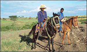 Ethiopian farmers