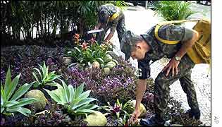 Soldiers search for potential mosquito breeding areas in Ipanema 