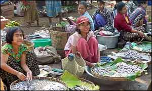 Rangoon fish market