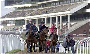 Eighteen horses started the race for a first prize of �174,000