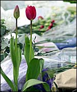Floral tributes on The Mall