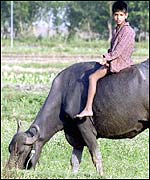 A Hindu family leaves their village after coming under mortar fire from Pakistani troops across the border