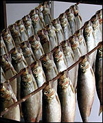 Herring on a rack