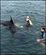 Children swim with the dolphin
