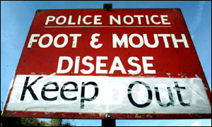 Foot-and-mouth sign