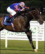 High Chaparral is a leading O'Brien contender