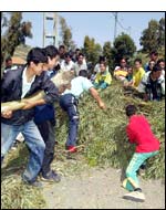 Berbers have launched a campaign of defiance