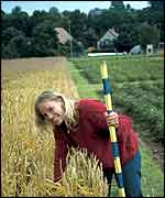 Scientist measures wheat plants Science