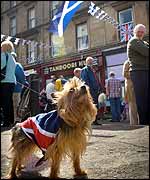 Dog with flag