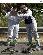Israeli forensic experts by body of one of the dead