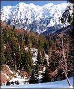 Piatra Craiului mountin in winter � Radu Mot 