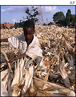 The search for food in Zimbabwe