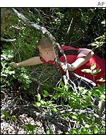 Man searches undergrowth near the scene of the abduction