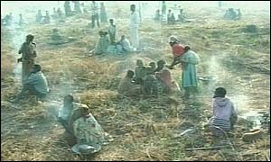People sitting in a field