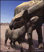 BBC's Walking with Dinosaurs 