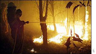 Australian forest fire