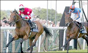 Race favourite Rock of Gibraltar is unstoppable as he cruises to victory