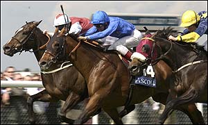 Vinnie Roe and Wareed finished second and third respectively