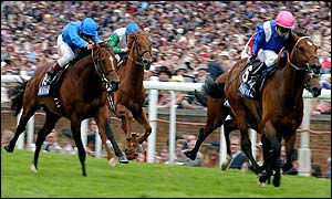 The John Gosden-trained 16-1 shot Malhub races to victory in the 3.45 ridden by Kevin Darley - favourite Johannesburg is well beaten