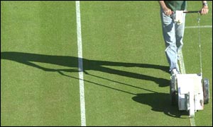 The white lines on court 14 are painted