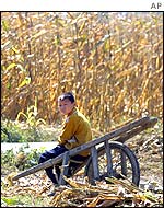 Boy in rural China