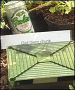 beer trap