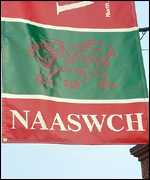 NAASWCH banner