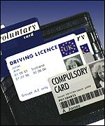 Sample identity cards