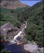 Junction Pool in the Upper Towy Valley