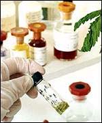 Laboratory tests on cannabis
