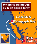 Map showing route to be taken by whale