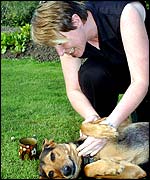 Lynne Hughes said Davies' resignation was unfair