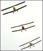 Tiger Moths
