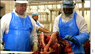 Scientists test for BSE