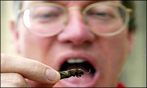 Tony Morgan and a mole cricket