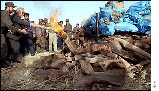 Taj Mohammed Wardak lights a drugs bonfire