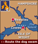 The route Todd the labrador took after falling in the sea near the Isle of Wight