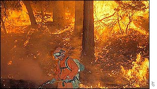 A firefighter tackles the fire in the Sequoia National Forest