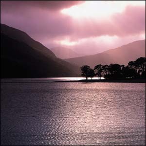 Gardener Roy Lancaster said: 'It captures perfectly all the elements of the British landscape.'